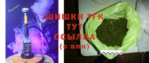 дживик Елабуга