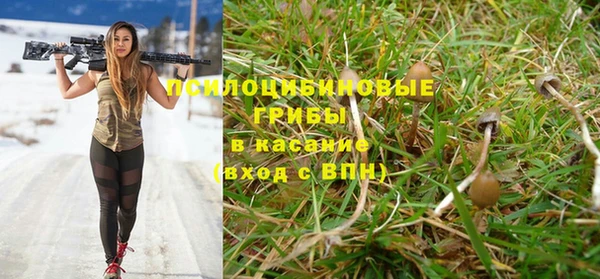 дживик Елабуга