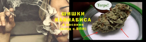 дживик Елабуга