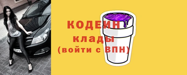дживик Елабуга