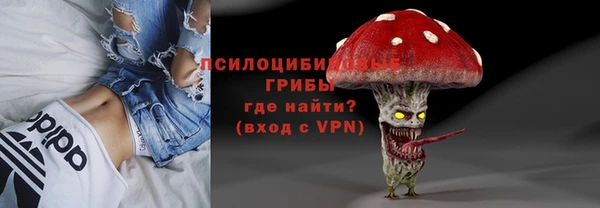 героин Ельня