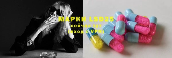 дживик Елабуга