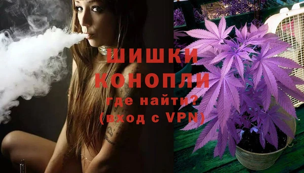 дживик Елабуга