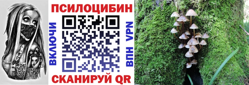 Галлюциногенные грибы MAGIC MUSHROOMS  Мамадыш 
